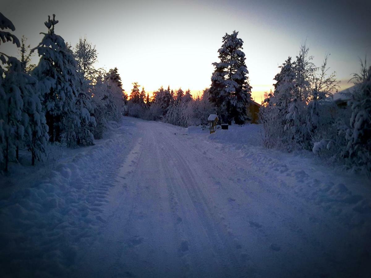 Scandinavian Dream Cottages Vikajarvi- Rovaniemi מראה חיצוני תמונה