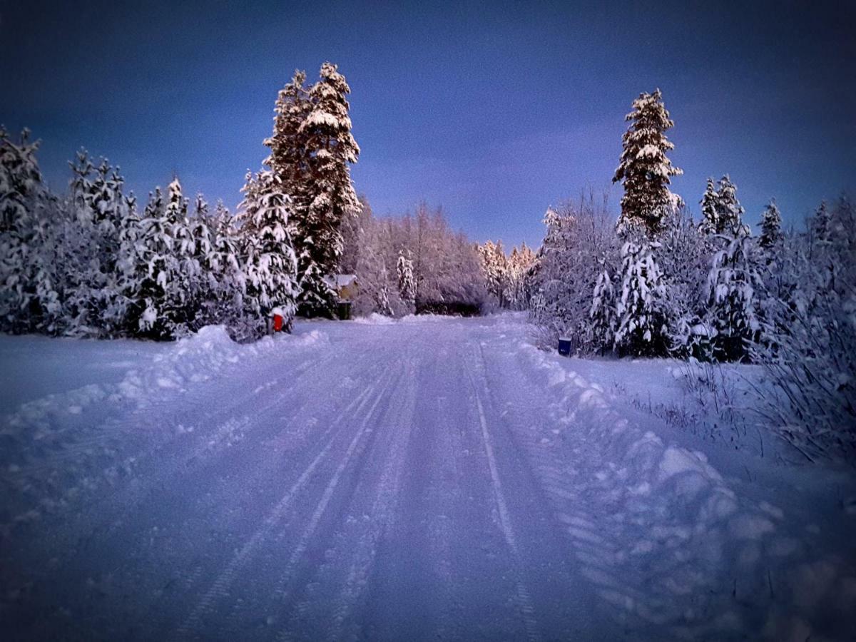 Scandinavian Dream Cottages Vikajarvi- Rovaniemi מראה חיצוני תמונה